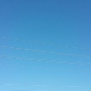 Meet your Posher, Eli