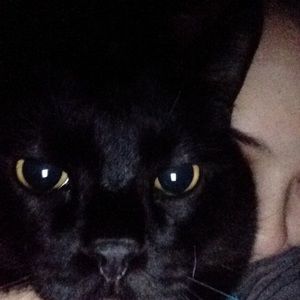 Meet your Posher, Carson