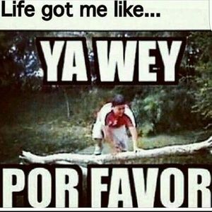 Meet your Posher, Macks