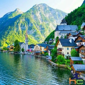 Meet your Posher, Shelley