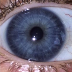 Meet your Posher, Callie