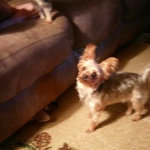 Meet your Posher, Marcy