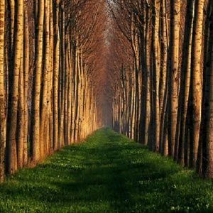 Meet your Posher, Tim