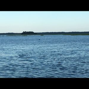 Meet your Posher, Peyton