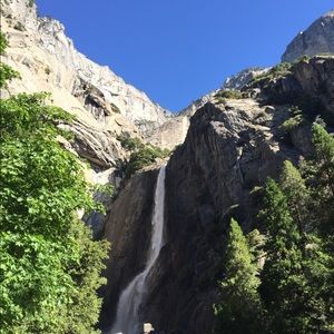 Meet your Posher, Ann