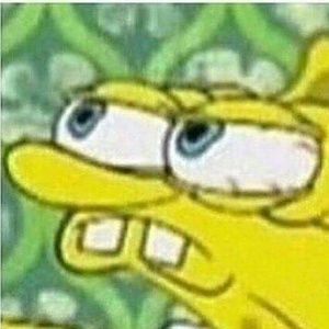 Meet your Posher, Maya