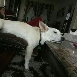 Meet your Posher, Rhonda