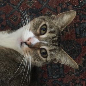 Meet your Posher, Erin