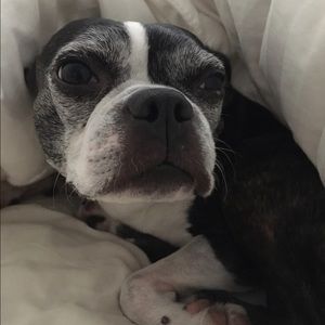 Meet your Posher, Elise