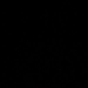 Meet your Posher, Demi