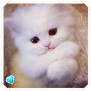 Meet your Posher, Kristina