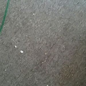 Meet your Posher, Ventas