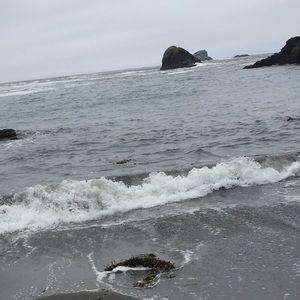 Meet your Posher, Cheyenne