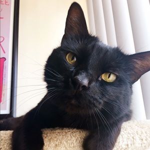 Meet your Posher, Marie