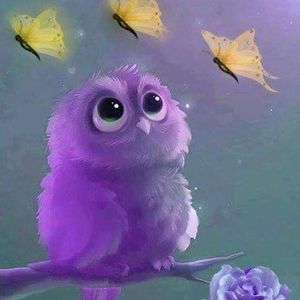 Meet your Posher, Vicki