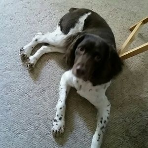 Meet your Posher, Sally