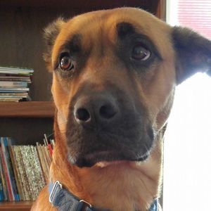 Meet your Posher, Debbie