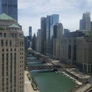 Meet your Posher, Ginger