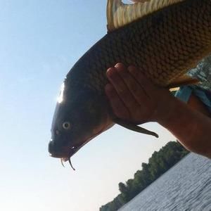 Meet your Posher, Landen