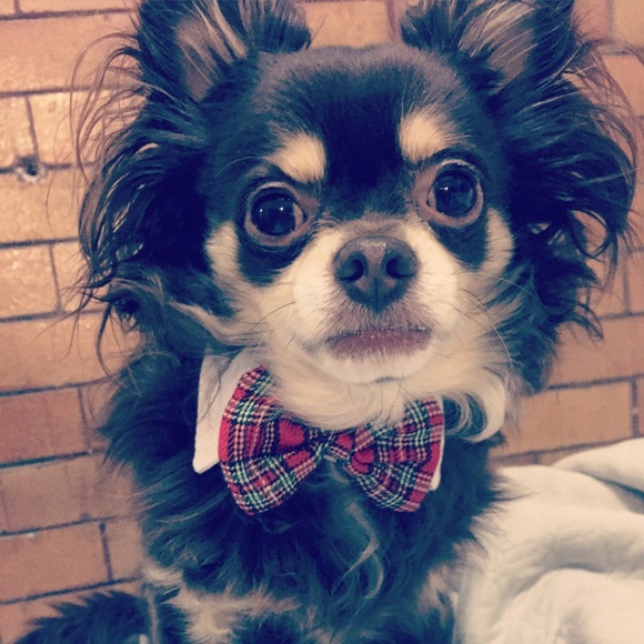 Meet your Posher, Katherine - Picture 2 of 2