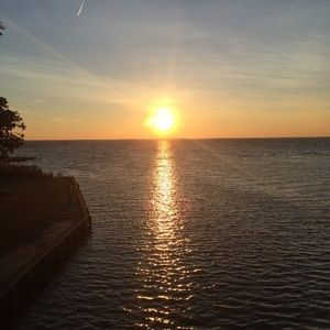 Meet your Posher, Sydney