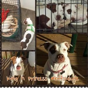 Meet your Posher, Jahmir