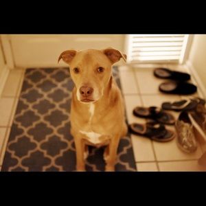 Meet your Posher, Corrie