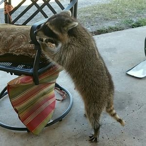 Meet your Posher, Jeanette