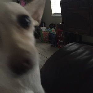 Meet your Posher, Mandy