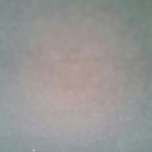 Meet your Posher, Ashlee