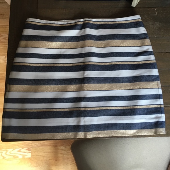 J.Crew Skirt