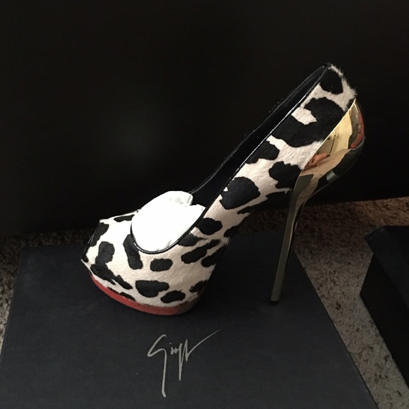 Giuseppe Pony Print
