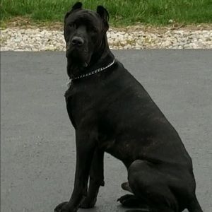 Meet your Posher, Julie