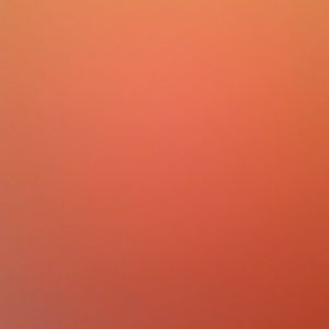 Meet your Posher, Arianna