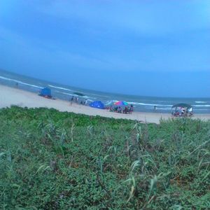 Meet your Posher, Selena