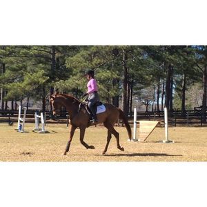 Meet your Posher, Haley