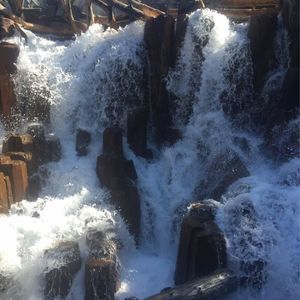 Meet your Posher, Tonya paolilli