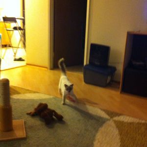 Meet your Posher, Vicky