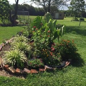 Meet your Posher, Hanna