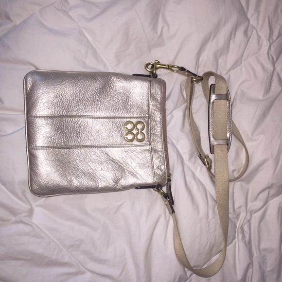 Metallic cross body purse
