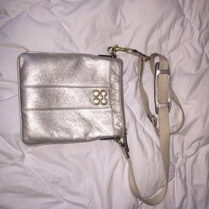 Metallic cross body purse