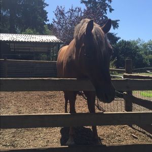 Meet your Posher, Nancy