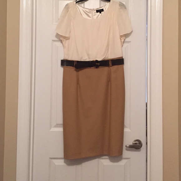 Tahari Cream and Tan Business Dress