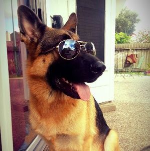 Meet your Posher, Diane