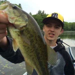 Meet your Posher, William