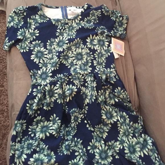 BNWT HTF Lularoe Amelia size L