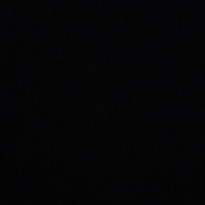 Meet your Posher, Dalia