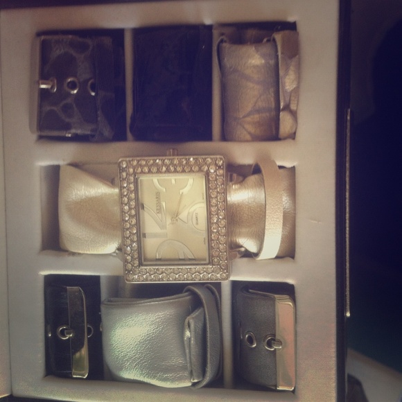 Kessaris interchangeable watch