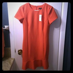 Beautiful, Nwt, Ann Taylor shift dress! Flash sale