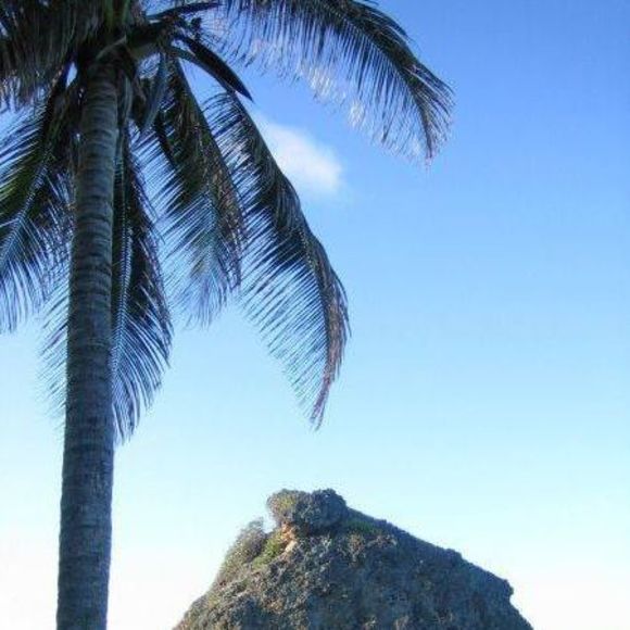 Meet your Posher, Lea